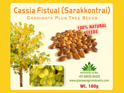 Cassia Fistual